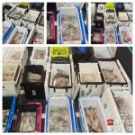 [통영대교피싱]한치대첩 출항합니다 월요일부터 예약가능