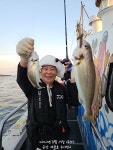 실시간 조황 - 8월17일 군산세븐호 야간백조기 실시간~!! @ 내일 출항확정 자리여유@