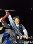 금요일 준내만 갈치 철수 조황 입니다