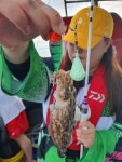 (西)서해조황 - 9/16일 오천항 황금바다호 쭈꾸미조황
