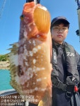 ◑붉바리 大대박조황입니다(9월27일) < 해마루호가 뜨는이유..조황 때문이지요..>