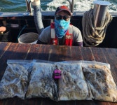 인천권조황 - 9월 8일 슈퍼노바호 쭈~ 조황 300쭈 돌파~