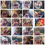 10월21일 여수주꾸미조황 장원266수