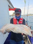 내일 왕대가리 돌문어 건지로 가실분~~(낼자리여유)