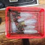 (東)동해조황 - 강릉뉴한일호 10월19일 무늬 오징어 조항입니다