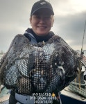 군산킹스타호 10/31 갑오징어 마무리 소식