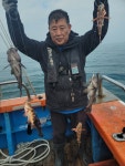 (西)서해조황 - 12/29 신조선 [군산 닥스호]_우럭&열기(종일반)_9인 조황! 오늘도 역시 닥스호 대박!!