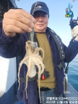 12월8일 빅쭈조황 주말부터 문어 출조합니다.