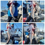 (東)동해조황 - #경주호 대부조황