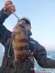 28일(목)ㅡ화끈한대뽈조황!!ㅡ내일 황제낚시가능