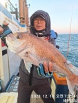 (南)남해조황 - [여수세븐피싱]12/18 먼바다타이라바 조황입니다!! 최대65!!100수 오바 010-5664-9231