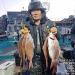 거제하모니 타이라바 초보조사님들도 히트