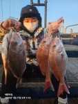 [여수세븐피싱] 1/27 먼바다 타이라바 조황!! 다음주 월ㆍ화 출조합니다 010-5664-9231