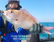 (南)남해조황 - #타이라바 1/29 퍼담았어요 ㅎ. 낼자리요~^