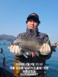 통영 유촌 금정호 대물감성돔 카고 마릿수 싸이즈 다 좋네요^^ 월요일부터 자리있습니다