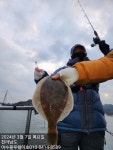 (南)남해조황 - 봄도다리출조 사이즈ㆍ마릿수 굿굿굿!!!!!