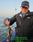 (西)서해조황 - 3/30 신조선 [군산 뚱스호]_봄쭈꾸미 탐사 조황_장원 22수!