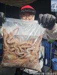14일 야간낙지 다녀왔습니다 ◇◇선비할인 이벤트 진행 ~~