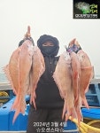 루어낚시조황+ - [여수오션스타] 3/4 참돔타이라바 때고기 조황