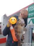 3짜대뽈HOT!! 8일(월)ㅡ낮볼락(다잡아)조황!!ㅡ주말자리여유