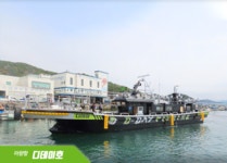 강진 마량 디데이호 쭈꾸미 호조황