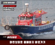 루어낚시조황+ - 오천 마린보이 참돔 타이라바조황정보