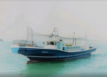 대마골 특대갈치 사이즈 좋아요