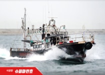 쭈.갑 먹물조황+ - 6월25일 군산슈퍼마린호 갑오징어 왕대박조황