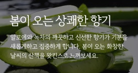 텐바이텐 10X10 : 왓킨스 알로에&그린티 다목적세정제