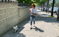 [메이킷] 반려동물 산책가방 와인(몸줄 사용가능) :: 1300k 천삼백케이 [메이킷] 반려동물 산책가방 와인(몸줄 사용가능)