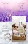 로사퍼시픽 베리식스 3S  퍼플라벤더+코튼플라워 (선물포장) :: 천삼백케이 로사퍼시픽 베리식스 3S  퍼플라벤더+코튼플라워 (선물포장)