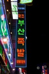 [사진] 부산여행 스냅사진 및 해동용궁사. - 서버 : plaync 아이온