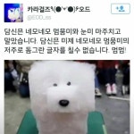 네모네모 빔 - 직업 : plaync 아이온