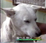 돌아왔당;;;;;;; - 자유게시판 : plaync 블레이드 & 소울