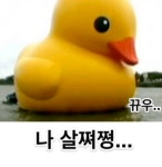 운동중인데 오리고기 를  싸게 샀다.. - 자유게시판 : plaync 블레이드 & 소울