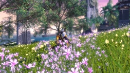 [곤남] 낙원+도원향 - 이미지게시판 : plaync 블레이드 & 소울