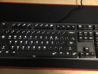 카보드 왔다!!!! - 자유게시판 : plaync 블레이드 & 소울