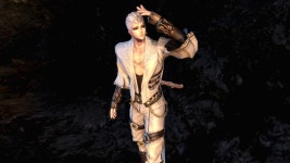 진남1편 - 백풍 - 이미지게시판 : plaync 블레이드 & 소울