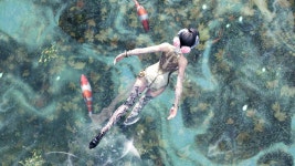 바람공원 - 이미지게시판 : plaync 블레이드 & 소울