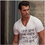 나만없어 고양이 - 자유게시판 : plaync 블레이드 & 소울