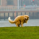 ㅇㅅㅇ - 자유게시판 : plaync 블레이드 & 소울