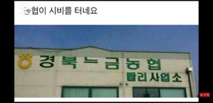 혼틈 농협 인성 - 자유게시판 : plaync 블레이드 & 소울