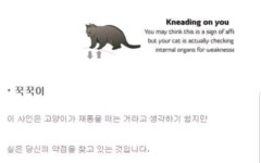 (충격) 귀여운 야수 고양이의 실체 - 자유게시판 : plaync 블레이드 & 소울