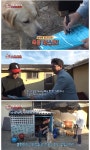 동물농장에 나온 역대급 천재견 - 자유게시판 : plaync 블레이드 & 소울