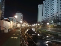 부산은 정말 최고인거같아 - 자유게시판 : plaync 블레이드 & 소울