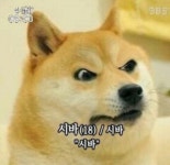 시바개다 - 서버 : plaync 리니지