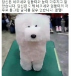 토크라운지 - 진짜 궁금해서 질문할게요.... : plaync 러브비트