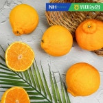 [kshop] [제주위미농협] 제주직송 한라봉 2.5kg (13-17입 내외) null | 홈쇼핑모아 [kshop] [제주위미농협] 제주직송 한라봉 2.5kg (13... 