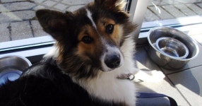 Flipboard의 Twitter user