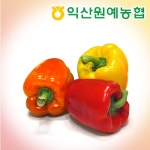 [골라담기/산지직송] 노랑 파프리카 1개 (특) - 이마트몰, 당신과 가장 가까운 이마트